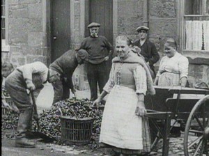 St Andrews 1916