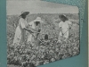 March 1954